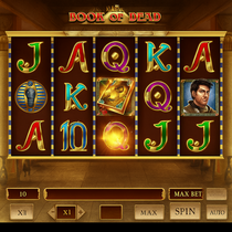 RainBet - Book of Dead Slot Game - Play'n GO